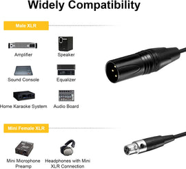 EBXYA Mini XLR Female to XLR Male Cable 2 Pack, 3 Pin Mini XLR Patch Cable Adapter for BMPCC 4K Camera Video Assist 4K Sharp 8K, 5 Ft